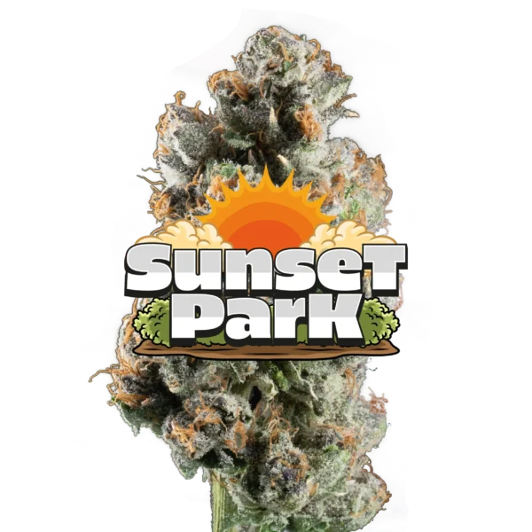Jeeter Sunset Park Red Label